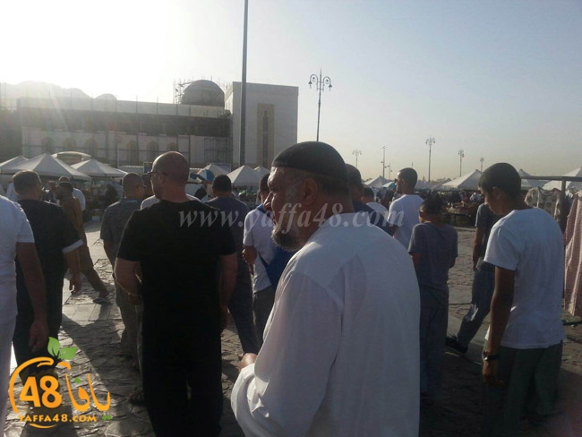 mo3tmren yaffa (18).JPG